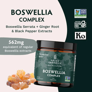 TRIBE ORGANICS - TRIBE ORGANICS Boswellia Serrata Complex 120 Capsulas - The Red Vitamin MX - Suplementos Alimenticios - {{ shop.shopifyCountryName }}