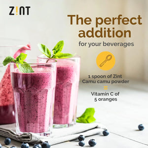 ZINT - Zint Camu Camu Powder Organic 99Gr. - The Red Vitamin MX - Suplementos Alimenticios - {{ shop.shopifyCountryName }}