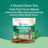 DR. HARVEY'S - Dr. Harvey's Holistix Dental Chews for Dogs 24 Piezas - The Red Vitamin MX - Cuidado Dental Para Perros - {{ shop.shopifyCountryName }}