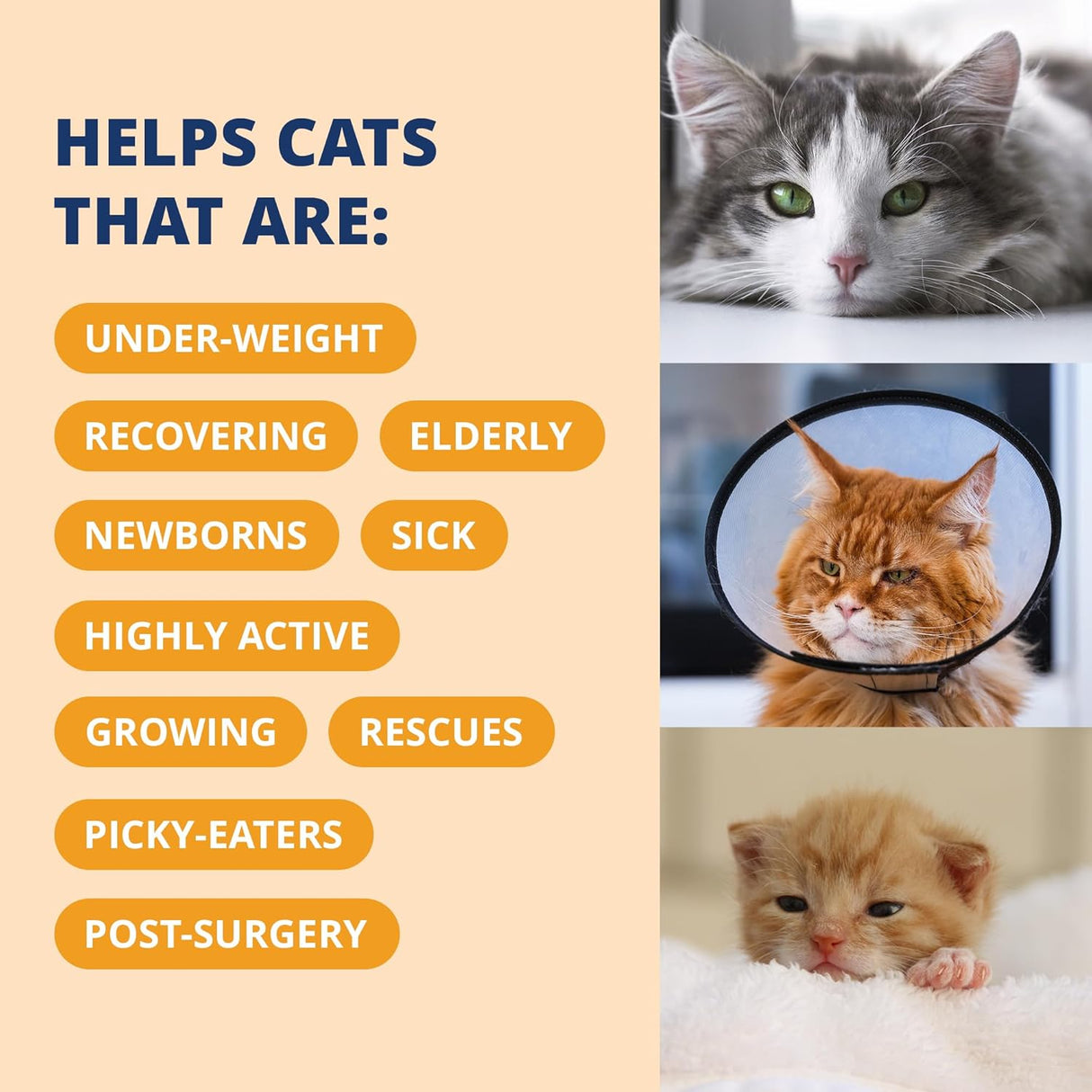 Under the Weather Pet Electrolytes Ready Cal Plus Gel for Cats 3.5 Oz.