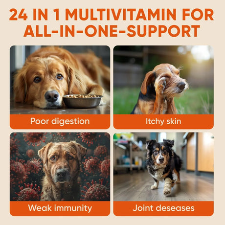 PAWZITIVE PETS - Pawzitive Pets Dog Multivitamin Chews 120 Masticables - The Red Vitamin MX - Multivitamínicos Para Perros - {{ shop.shopifyCountryName }}