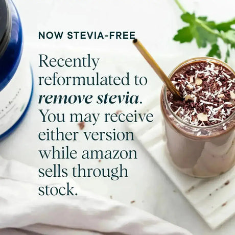 ORA ORGANIC - Ora Organic Vegan Protein Powder Chocolate Flavor 20 Servicios 647Gr. - The Red Vitamin MX - Suplementos Alimenticios - {{ shop.shopifyCountryName }}