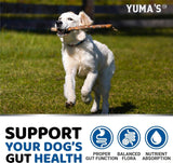 YUMA'S Probiotics for Dogs and Digestive Enzymes 170 Masticables 2 Pack