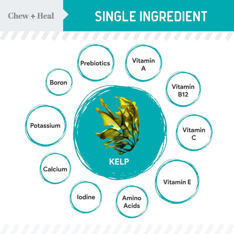 CHEW + HEAL - Chew + Heal Labs Kelp Supplement for Dogs 16 Oz. - The Red Vitamin MX - Suplementos Herbales Para Perros - {{ shop.shopifyCountryName }}