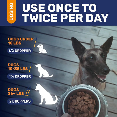 CLEAR MAX - Clear Max Natural Antibiotics for Dogs for Allergies Infections Coughs Digestive Moments 2 Fl.Oz. - The Red Vitamin MX - Medicamentos Sin Receta Para Perros - {{ shop.shopifyCountryName }}