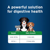 Pet Protect Digestive Health Supplement with Probiotics for Dogs 60 Masticables