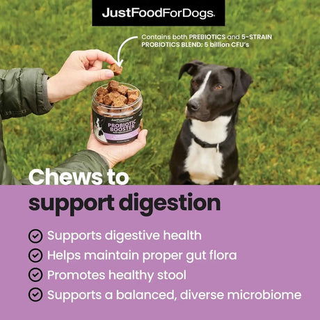 JUSTFOODFORDOGS - JustFoodForDogs Probiotic Booster Gut Health Soft Chews 45 Masticables - The Red Vitamin MX - Probióticos Para Perros - {{ shop.shopifyCountryName }}