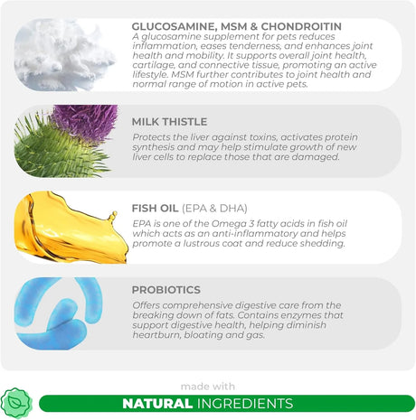 COCO AND LUNA - Coco and Luna 10 in 1 Multivitamin for Dogs 120 Tabletas Masticables - The Red Vitamin MX - Multivitamínicos Para Perros - {{ shop.shopifyCountryName }}