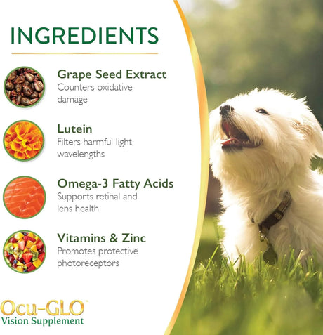 OCU-GLO - Ocu-GLO Cat & Dog Senior Supplement for Eye Support 60 Masticables - The Red Vitamin MX - Cuidado De Los Ojos De Los Perros - {{ shop.shopifyCountryName }}