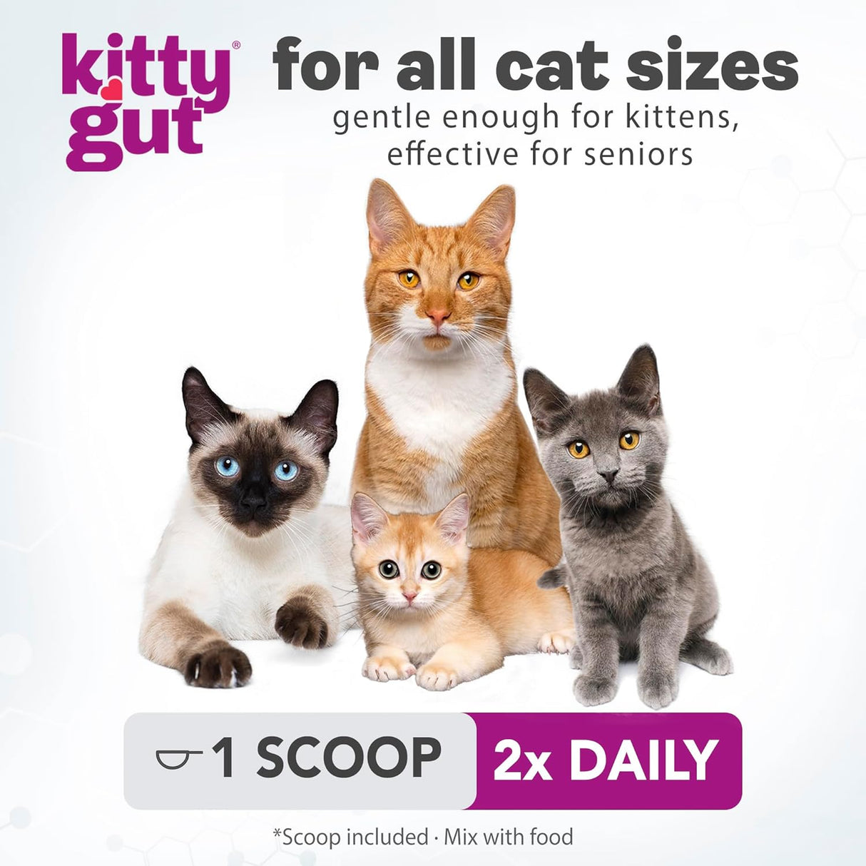 MUTTGUT KittyGut 3-in-1 Organic Cat Probiotics & Postbiotic Supplement Powder 60Gr.