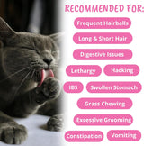 Under the Weather Pet Hairball Support for Cats 60 Masticables