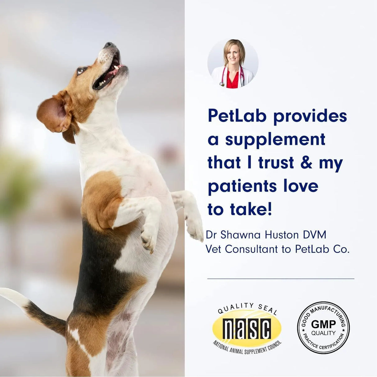 PETLAB CO. - Petlab Co. Dental Sticks 24 Piezas - The Red Vitamin MX - Cuidado Dental Para Perros - {{ shop.shopifyCountryName }}