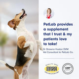 PETLAB CO. - Petlab Co. Dental Sticks 24 Piezas - The Red Vitamin MX - Cuidado Dental Para Perros - {{ shop.shopifyCountryName }}