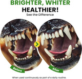 BUDDYCHEER - BuddyCheer Dog Breath Freshener 473Ml. - The Red Vitamin MX - Cuidado Dental Para Perros - {{ shop.shopifyCountryName }}