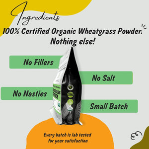 SPICE PROFILE - Spice Profile USDA Certified Organic Wheatgrass Powder 113Gr. - The Red Vitamin MX - Suplementos Alimenticios - {{ shop.shopifyCountryName }}