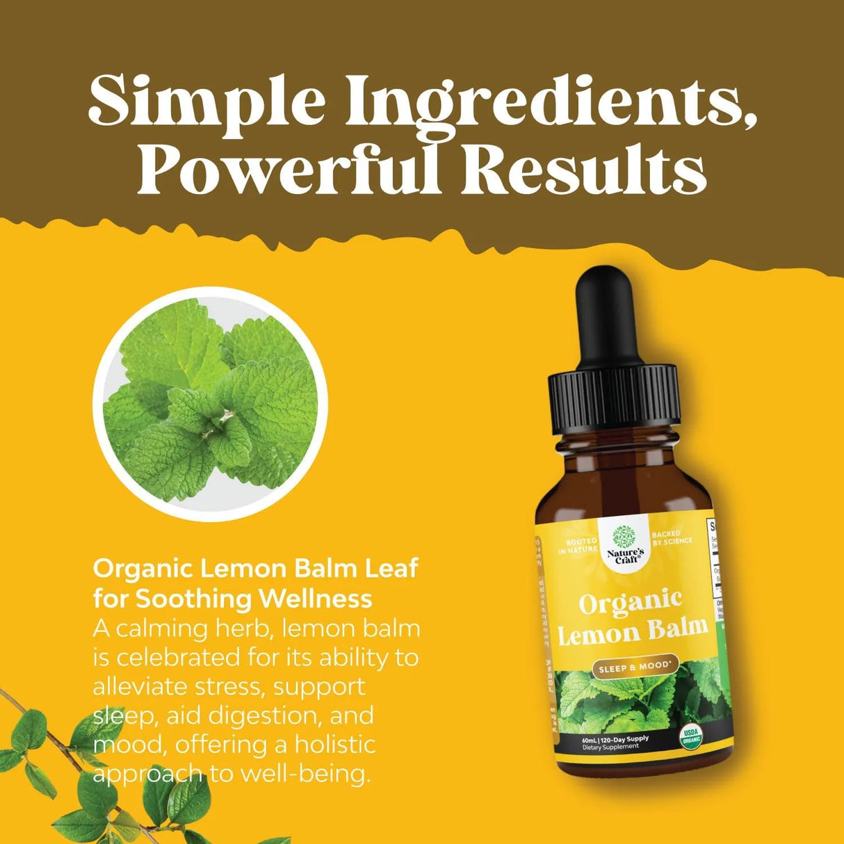 NATURES CRAFT - Natures Craft Lemon Balm Extract 60Ml. - The Red Vitamin MX - Suplementos Alimenticios - {{ shop.shopifyCountryName }}