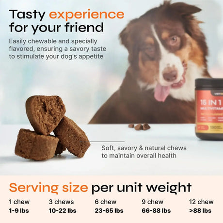 VETRICA - Vetrica Dog Vitamins 15 in 1 Dog Multivitamin Chews 130 Masticables - The Red Vitamin MX - Multivitamínicos Para Perros - {{ shop.shopifyCountryName }}