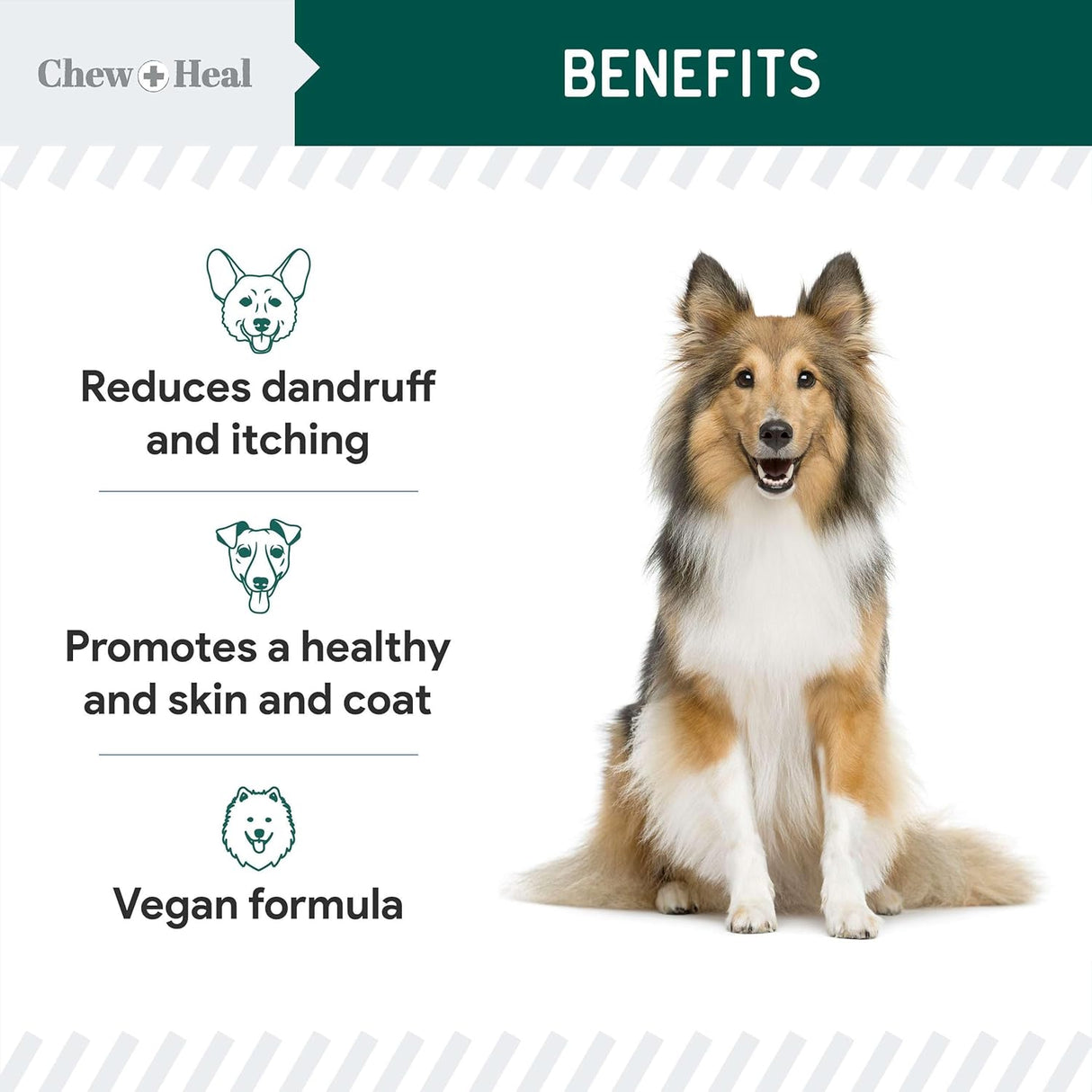 Chew + Heal Labs Vegan Omega 3 Oil for Dogs 8 Fl.Oz.