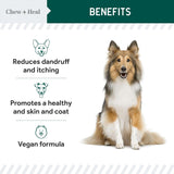 Chew + Heal Labs Vegan Omega 3 Oil for Dogs 8 Fl.Oz.
