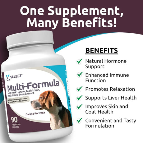 K9 SELECT - K9 Select Multi-Formula Dog Vitamins for Medium Dogs Unflavored 90 Capsulas - The Red Vitamin MX - Multivitamínicos Para Perros - {{ shop.shopifyCountryName }}