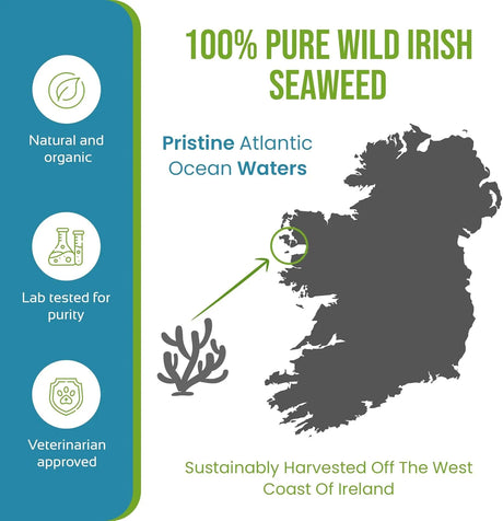 CANICLEAN - Caniclean Tartar Remover for Dogs 100Gr. - The Red Vitamin MX - Cuidado Dental Para Perros - {{ shop.shopifyCountryName }}