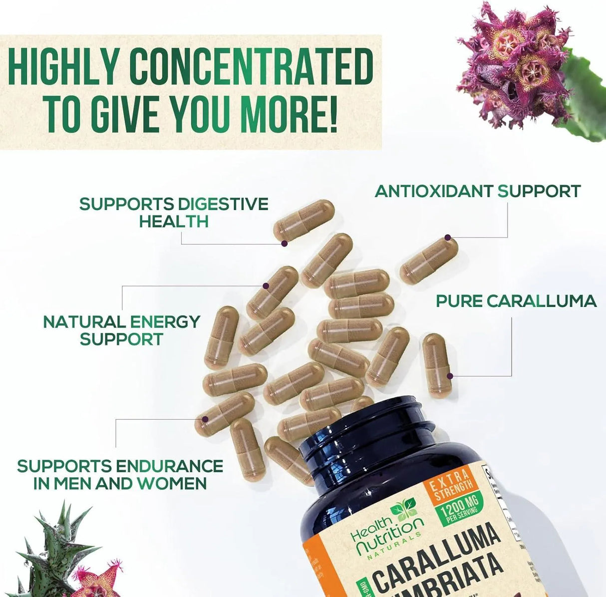 HEALTH NUTRITION NATURALS - Health Nutrition Naturals Caralluma Fimbriata Extract 1200Mg. 240 Capsulas - The Red Vitamin MX - Suplementos Alimenticios - {{ shop.shopifyCountryName }}