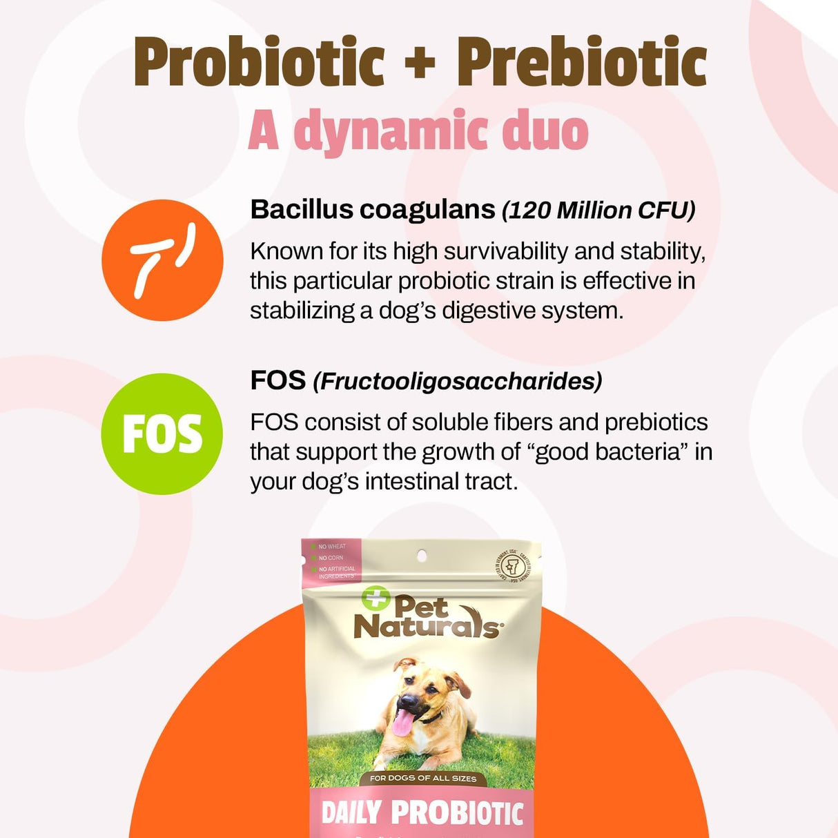 Pet Naturals Daily Probiotic for Dogs 60 Masticables