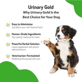 PET WELLBEING - Pet Wellbeing Urinary Gold for Dogs 2 Fl.Oz. - The Red Vitamin MX - Salud De Tracto Urinario Para Perros - {{ shop.shopifyCountryName }}