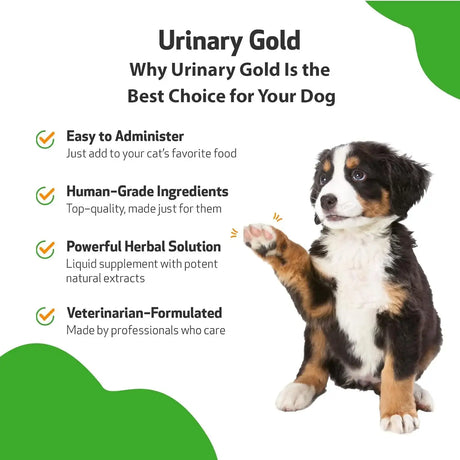PET WELLBEING - Pet Wellbeing Urinary Gold for Dogs 2 Fl.Oz. - The Red Vitamin MX - Salud De Tracto Urinario Para Perros - {{ shop.shopifyCountryName }}