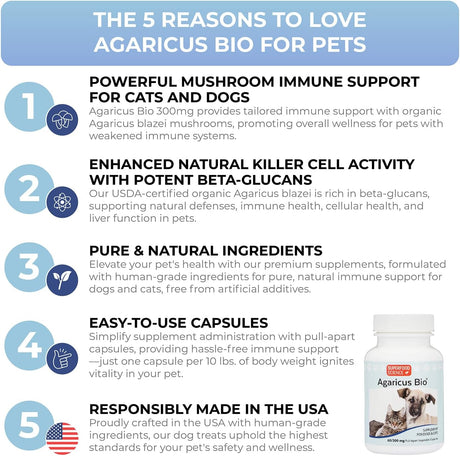 SUPERFOOD SCIENCE - Superfood Science Agaricus Bio 300Mg. Mushroom Pet Supplement 60 Capsulas - The Red Vitamin MX - Suplementos Herbales Para Perros - {{ shop.shopifyCountryName }}