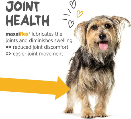 MAXXIPAWS - maxxipaws maxxiflex+ Hip & Joint Supplement for Dogs 60 Tabletas - The Red Vitamin MX - Cuidado De Cadera Y Articulaciones Para Perros - {{ shop.shopifyCountryName }}