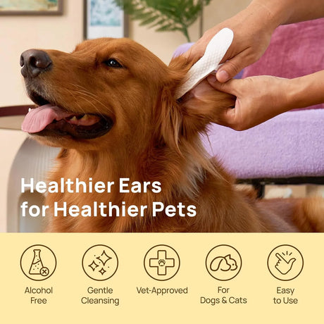 HICC PET - HICC PET Dog Ear Wipes Finger Honey Scent 50 Toallitas 2 Pack - The Red Vitamin MX - Cuidado Del Oído De Perros - {{ shop.shopifyCountryName }}