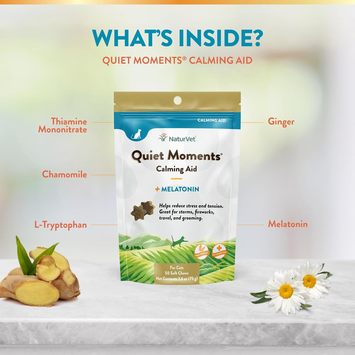 NaturVet Quiet Moments Calming Aid Cat Supplement Plus Melatonin 50 Masticables