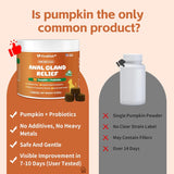 VivaElixir Constipated Cat - Pumpkin + Probiotic Soft Chews 120 Masticables