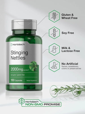 HORBAACH - Horbaach Stinging Nettle 2000Mg. 150 Capsulas - The Red Vitamin MX - Suplementos Alimenticios - {{ shop.shopifyCountryName }}