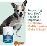 DOGGIE DAILIES - Doggie Dailies Senior Essentials Multivitamin for Dogs Bacon Flavor 120 Masticables - The Red Vitamin MX - Multivitamínicos Para Perros - {{ shop.shopifyCountryName }}