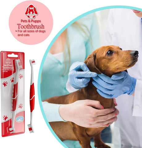 PETS & PUPPS - Pets & Pupps Pet Toothbrush for Dogs 2 Pack - The Red Vitamin MX - Cuidado Dental Para Perros - {{ shop.shopifyCountryName }}