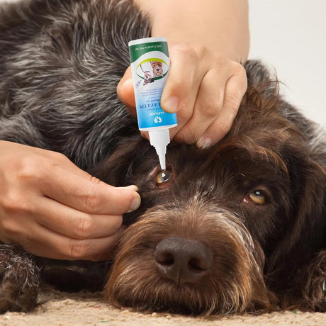 MORIKEY - Morikey Pet Eye Drops 120Ml. - The Red Vitamin MX - Cuidado De Los Ojos De Los Perros - {{ shop.shopifyCountryName }}