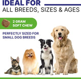 PAWSENTIAL - Pawsential Allergy Relief Dog Chews Chicken Flavor 120 Masticables - The Red Vitamin MX - Remedios Para La Picazón De Perros - {{ shop.shopifyCountryName }}