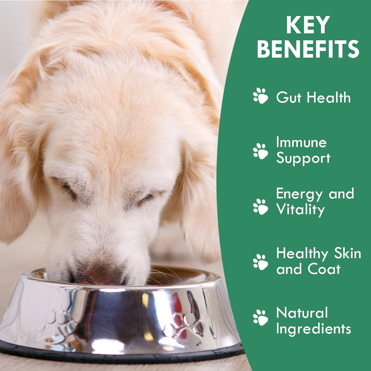 HOLISTIC BIN - HOLISTIC BIN Canine Fermented Farm Supplement Powder 50Gr. - The Red Vitamin MX - Suplementos Herbales Para Perros - {{ shop.shopifyCountryName }}