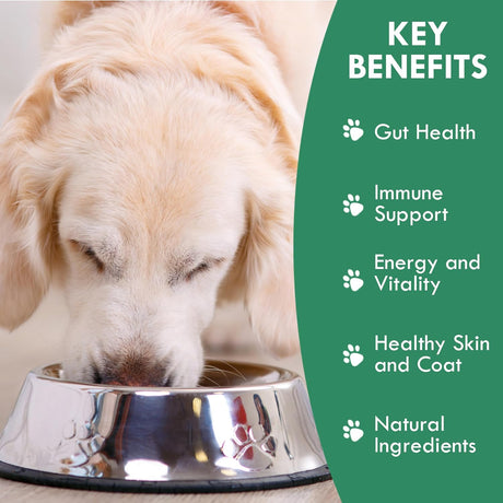 HOLISTIC BIN - HOLISTIC BIN Canine Fermented Farm Supplement Powder 50Gr. - The Red Vitamin MX - Suplementos Herbales Para Perros - {{ shop.shopifyCountryName }}