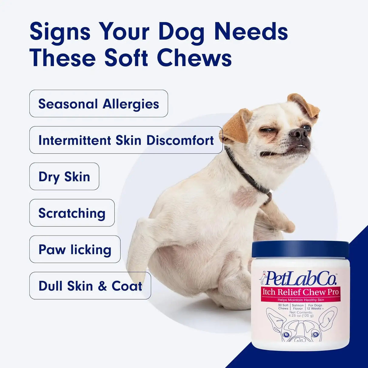 PETLAB CO. - PetLab Co. Salmon Itch Relief Chew Pro for Dogs 30 Masticables - The Red Vitamin MX - Remedios Para La Picazón De Perros - {{ shop.shopifyCountryName }}