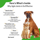 PET WELLBEING - Pet Wellbeing Agile Joints for Dogs 4 Fl.Oz. - The Red Vitamin MX - Cuidado De Cadera Y Articulaciones Para Perros - {{ shop.shopifyCountryName }}