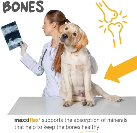 MAXXIPAWS - maxxipaws maxxiflex+ Hip & Joint Supplement for Dogs 60 Tabletas - The Red Vitamin MX - Cuidado De Cadera Y Articulaciones Para Perros - {{ shop.shopifyCountryName }}