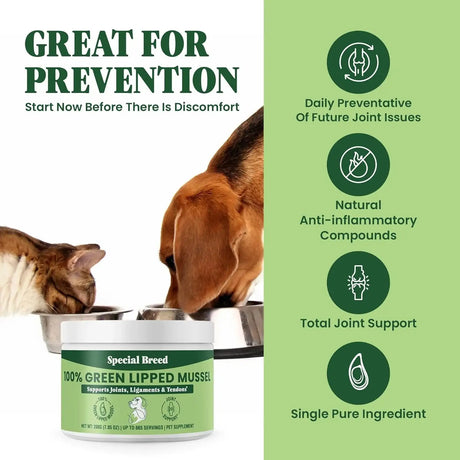 SPECIAL BREED - Special Breed Green Lipped Mussel Powder for Dogs & Cats 200Gr. - The Red Vitamin MX - Cuidado De Cadera Y Articulaciones Para Perros - {{ shop.shopifyCountryName }}