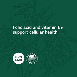 STANDARD PROCESS - Standard Process Folic Acid B12 180 Tabletas - The Red Vitamin MX - Suplementos Alimenticios - {{ shop.shopifyCountryName }}