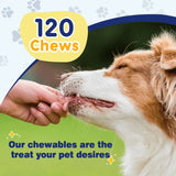 ZEBORA - ZEBORA Omega 3 for Dogs with Salmon Oil Chicken Flavor 120 Masticables - The Red Vitamin MX - Aceite De Pescado Para Perros - {{ shop.shopifyCountryName }}