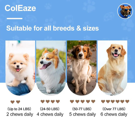 COLEAZE - ColEaze Hip & Joint Support 200 Masticables - The Red Vitamin MX - Cuidado De Cadera Y Articulaciones Para Perros - {{ shop.shopifyCountryName }}