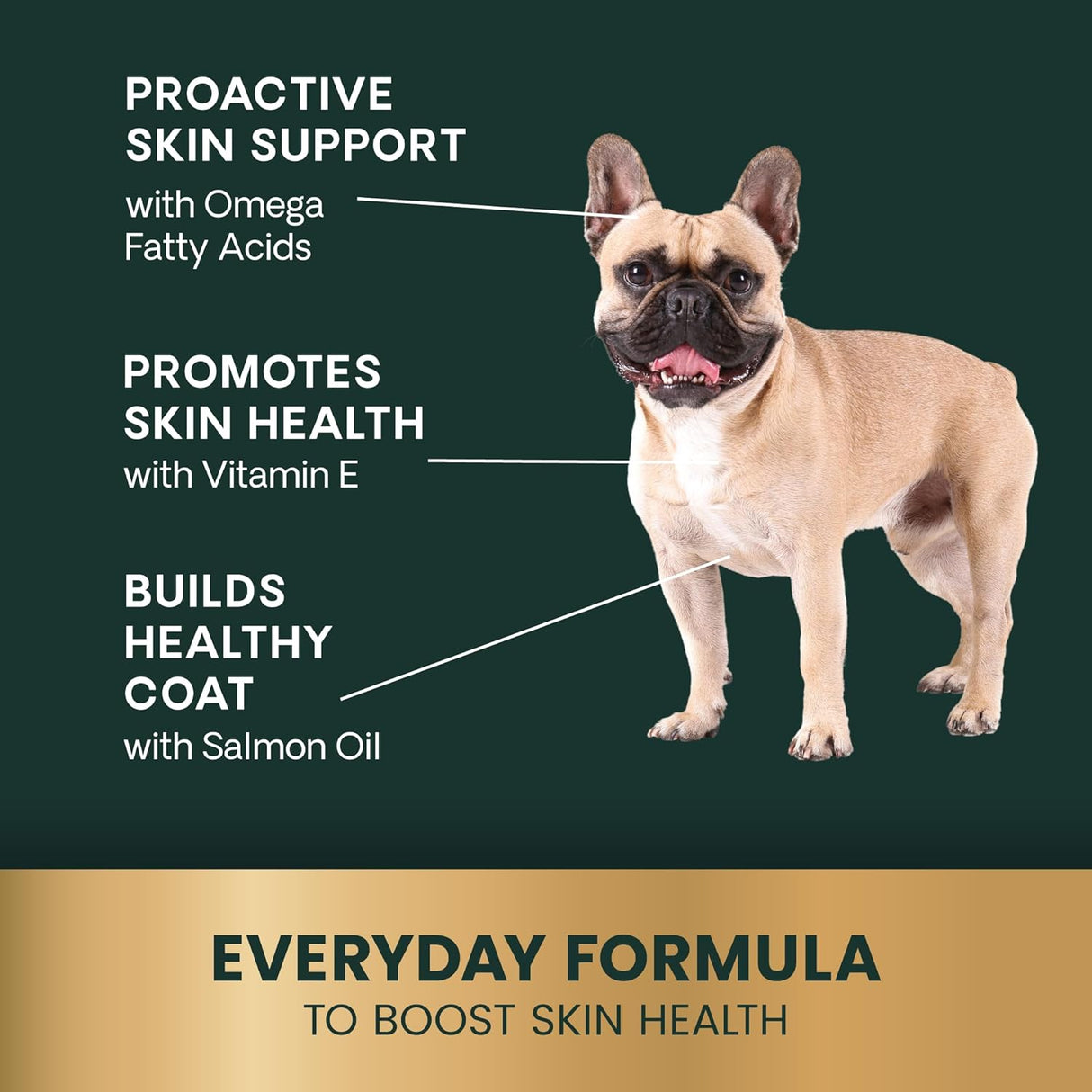 VetriScience Healthy Skin & Coat Chews 70 Masticables