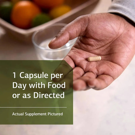 STANDARD PROCESS - Standard Process Ferrofood Healthy Blood 150 Capsulas - The Red Vitamin MX - Suplementos Alimenticios - {{ shop.shopifyCountryName }}